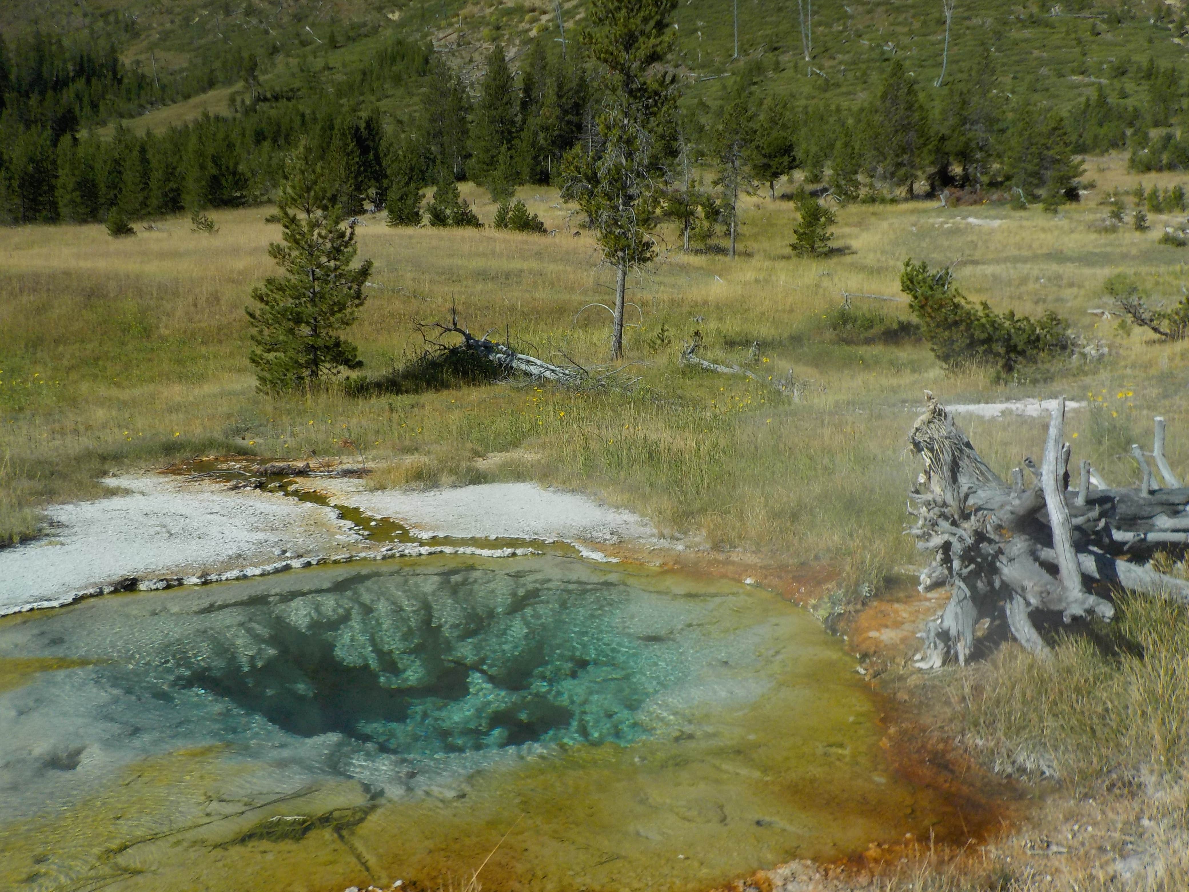 Camper submitted image from Heart Lake Trail - Yellowstone National Park — Yellowstone National Park - 4