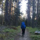 Review photo of Heart Lake Trail - Yellowstone National Park — Yellowstone National Park by Sarah C., June 13, 2020