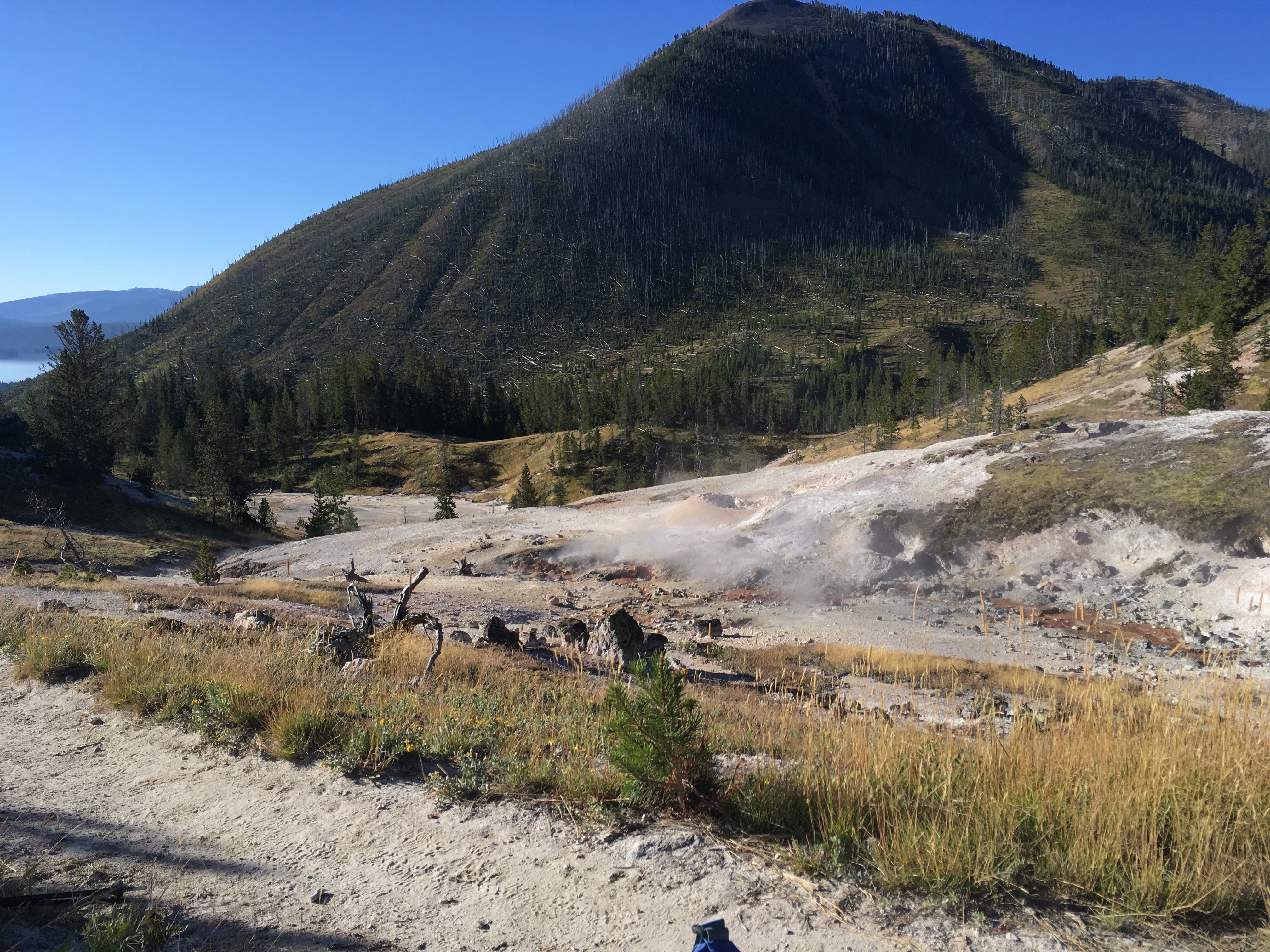 Camper submitted image from Heart Lake Trail - Yellowstone National Park — Yellowstone National Park - 3