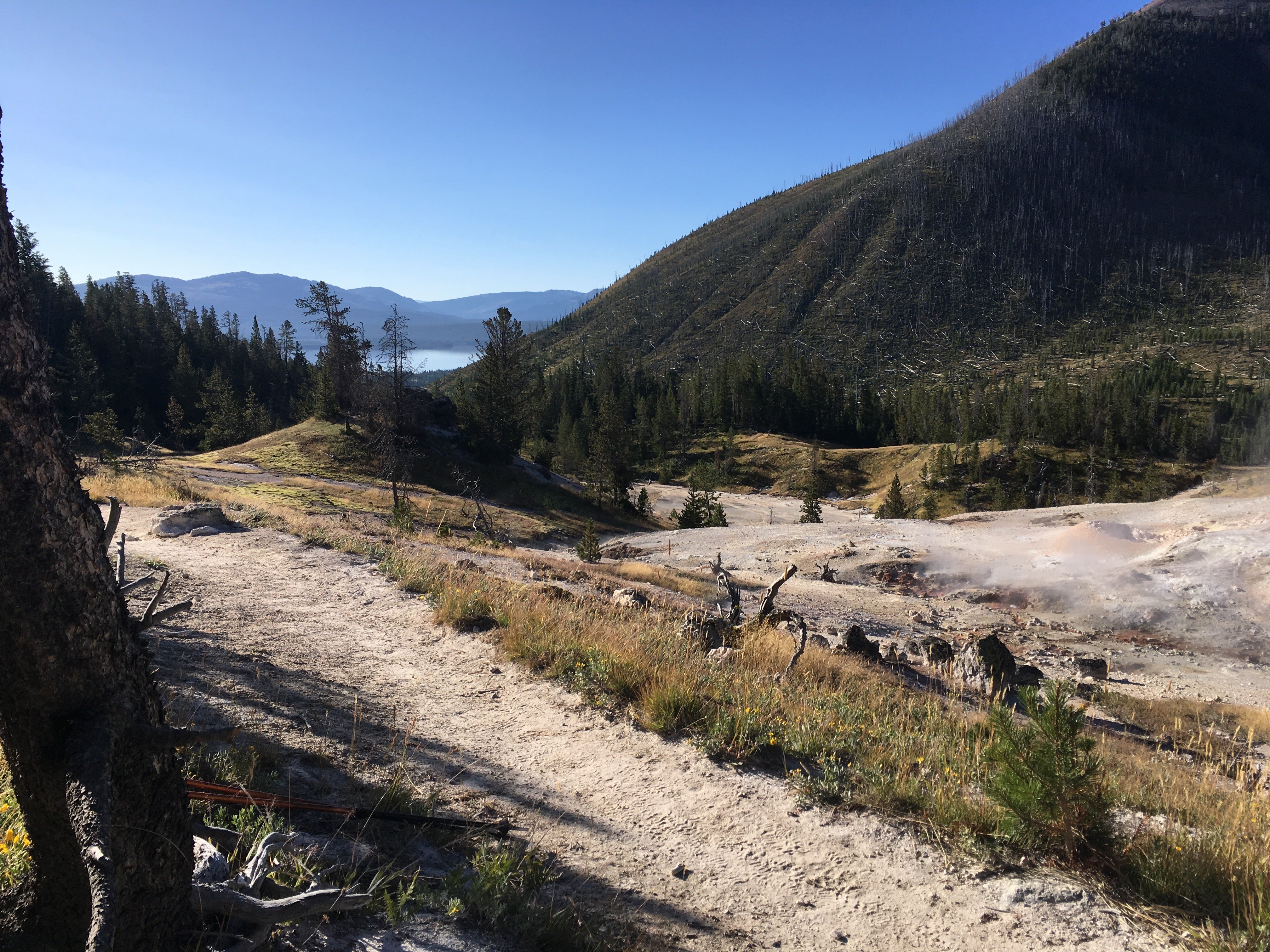 Camper submitted image from Heart Lake Trail - Yellowstone National Park — Yellowstone National Park - 1