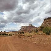 Review photo of Temple Mt. Rd. Dispersed by Pat S., June 13, 2020