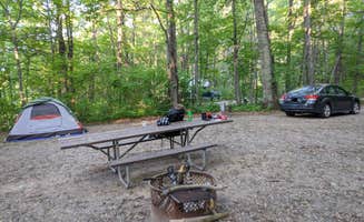 Alex M.'s photo at Chippewa National Forest Deer Lake Campground near Bigfork, MN