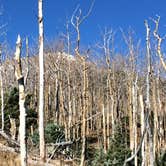 Review photo of Purgatoire Campground by Mike S., October 19, 2017