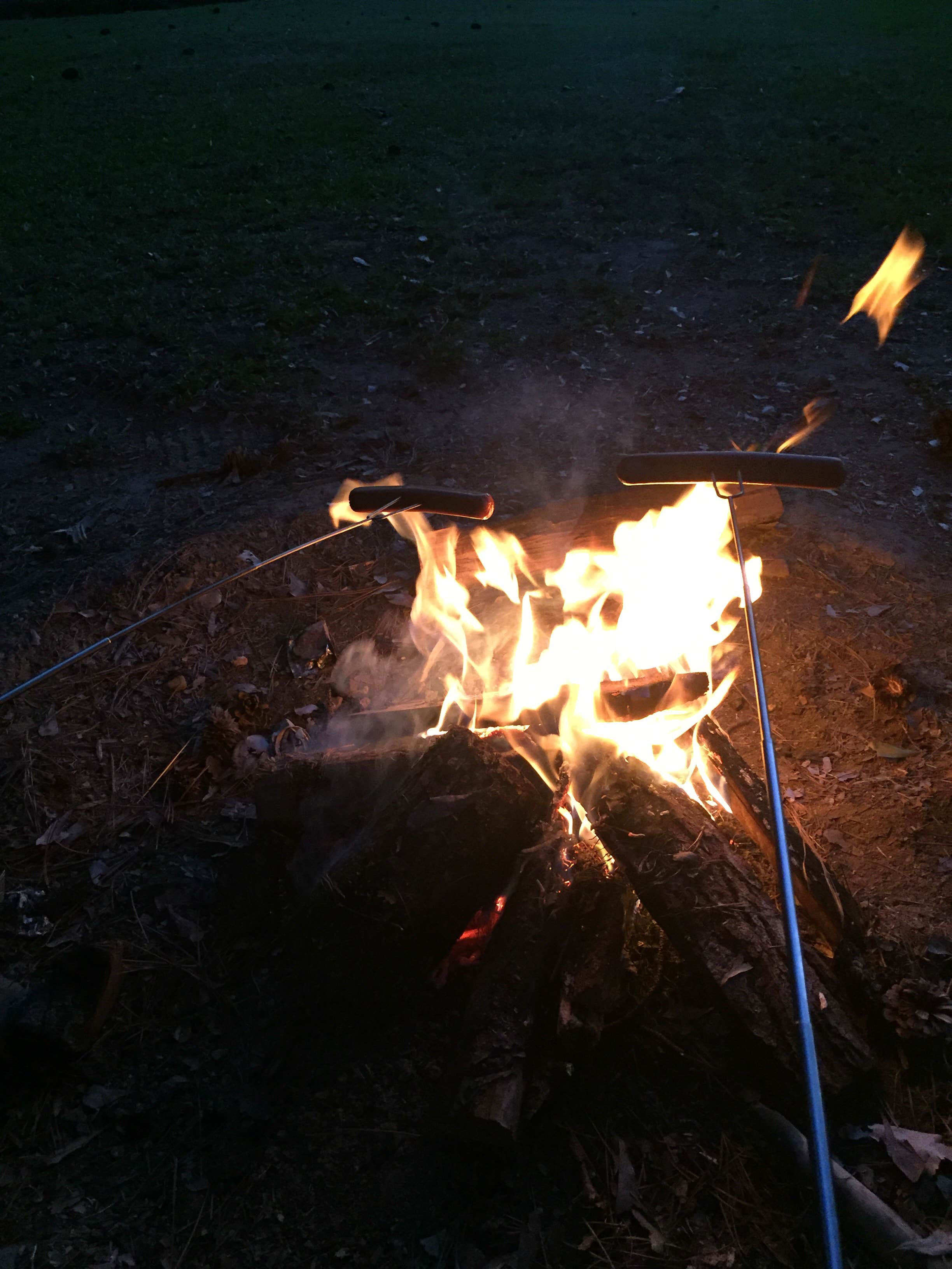 Camper submitted image from Smith Lake Park - 2