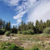 Review photo of Lighthouse Trailer Resort & Marina by Lane H., June 13, 2020