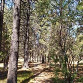 Review photo of Lighthouse Trailer Resort & Marina by Lane H., June 13, 2020