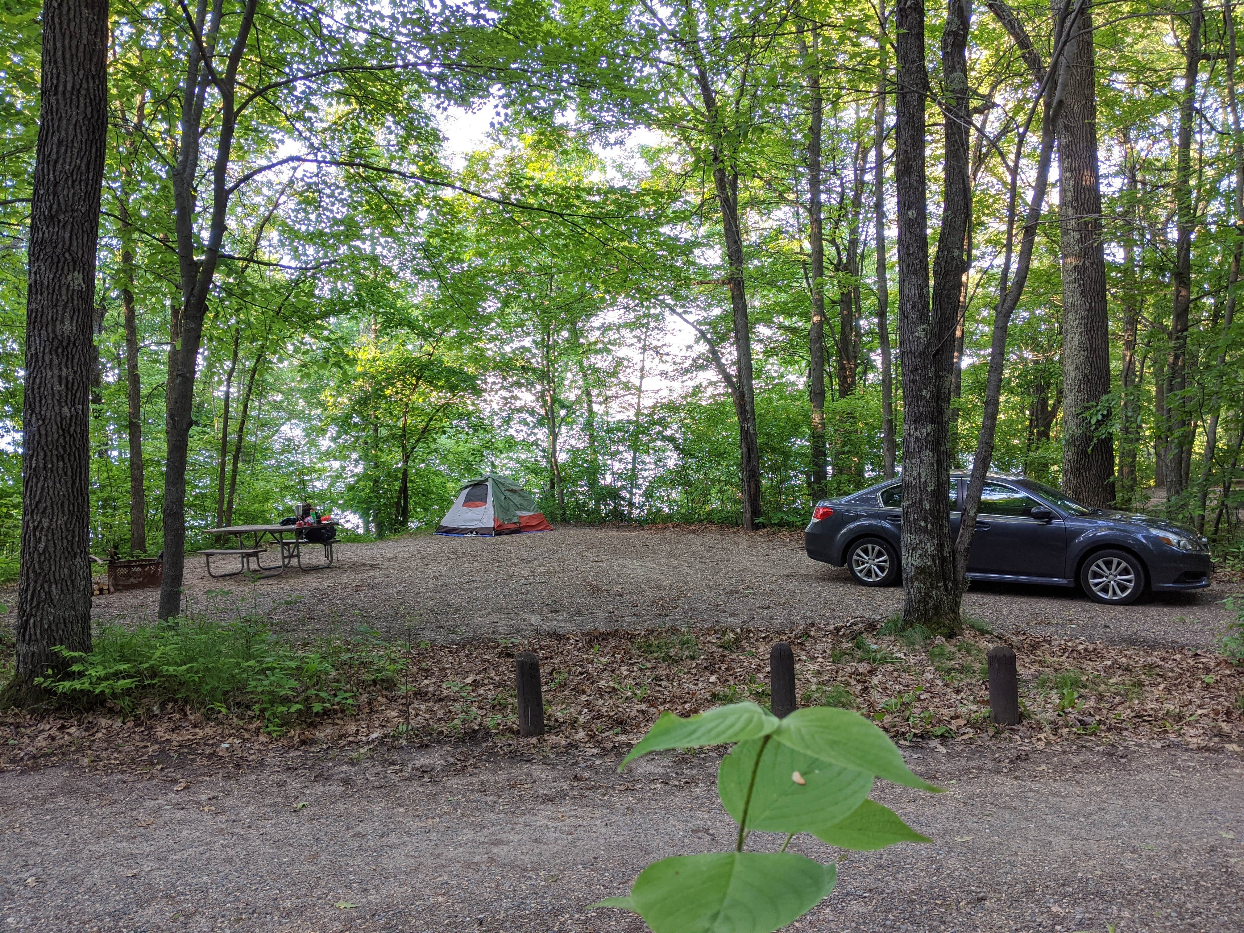 Alex M.'s photo at Deer Lake Campground near Chippewa National Forest