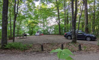 Alex M.'s photo at Deer Lake Campground near Bigfork, MN