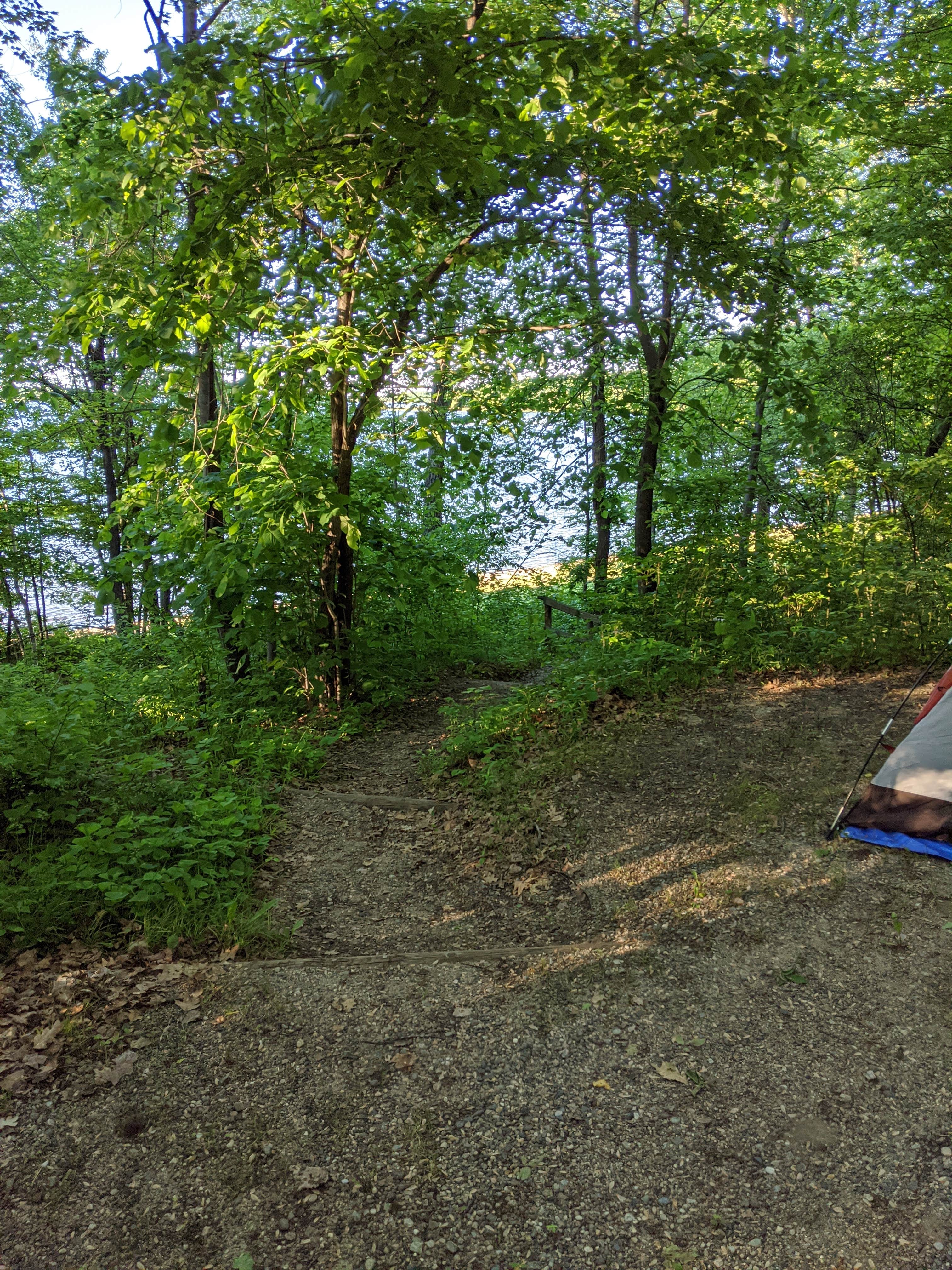 Alex M.'s photo at Deer Lake Campground near Chippewa National Forest