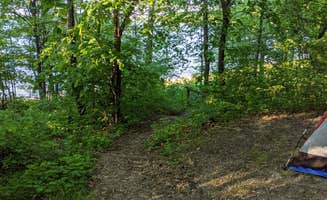 Alex M.'s photo at Deer Lake Campground near Bigfork, MN