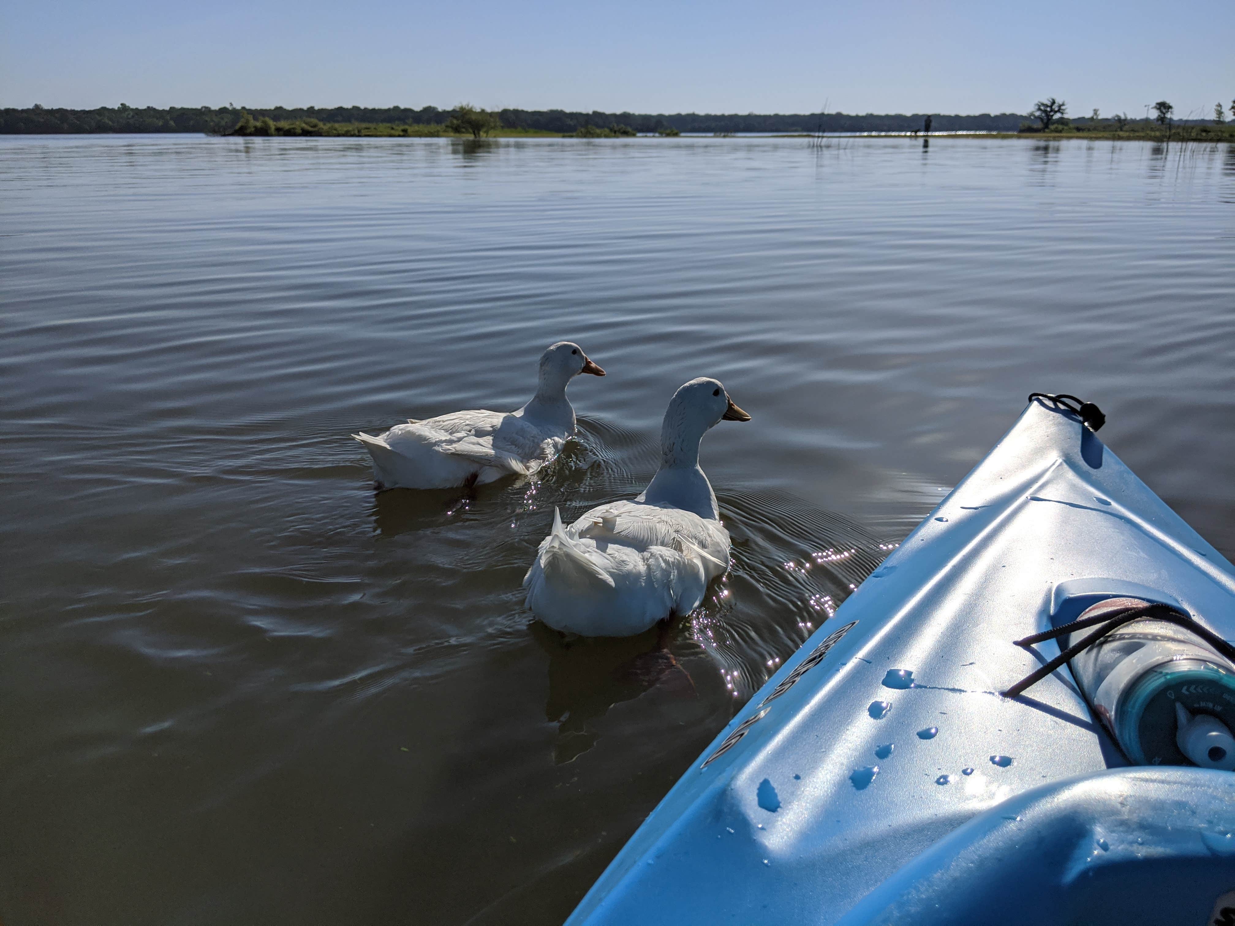 Camper submitted image from Lake Stanley Draper - 5