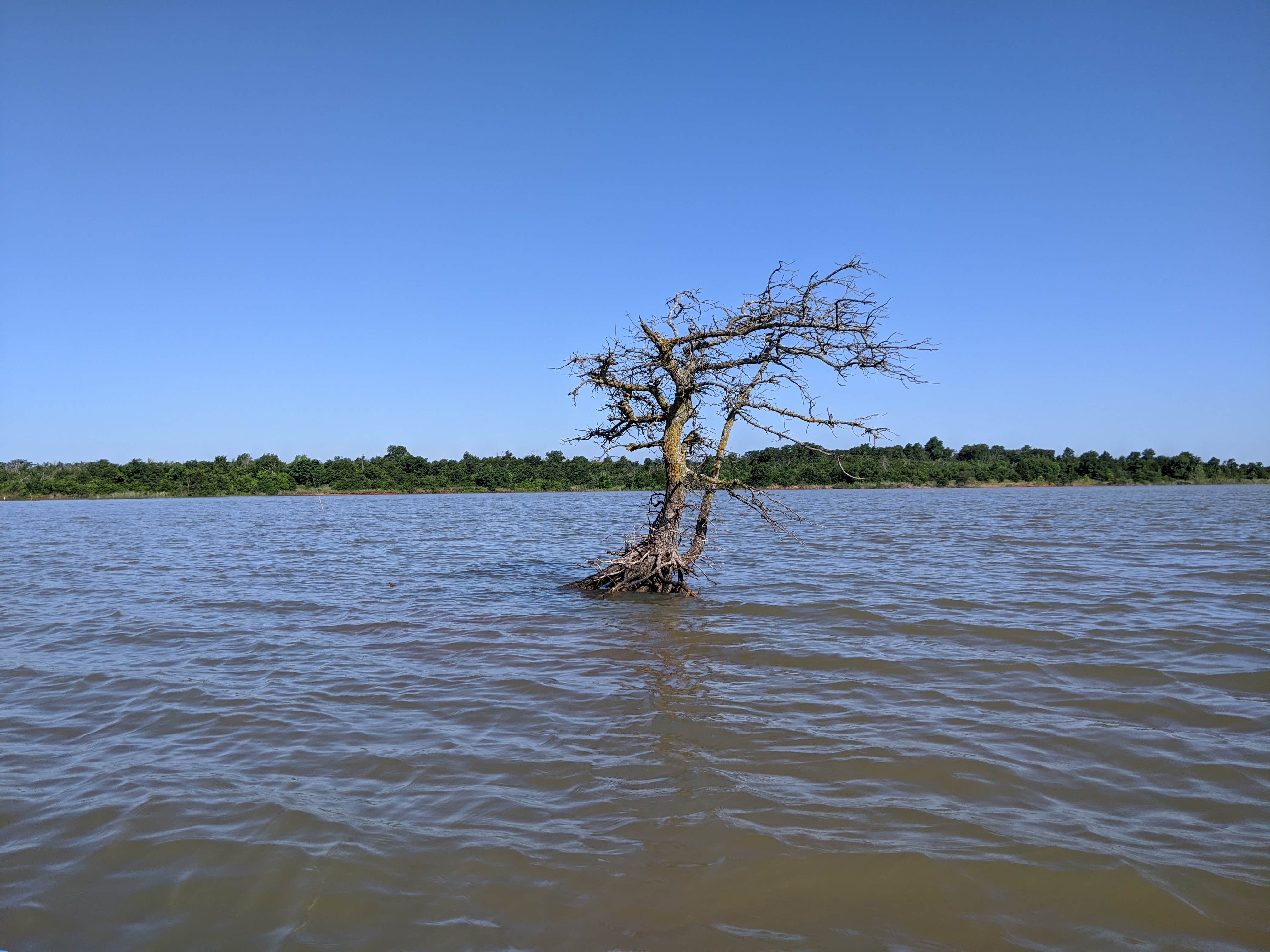 Camper-submitted photo at Lake Stanley Draper near Midwest City, OK