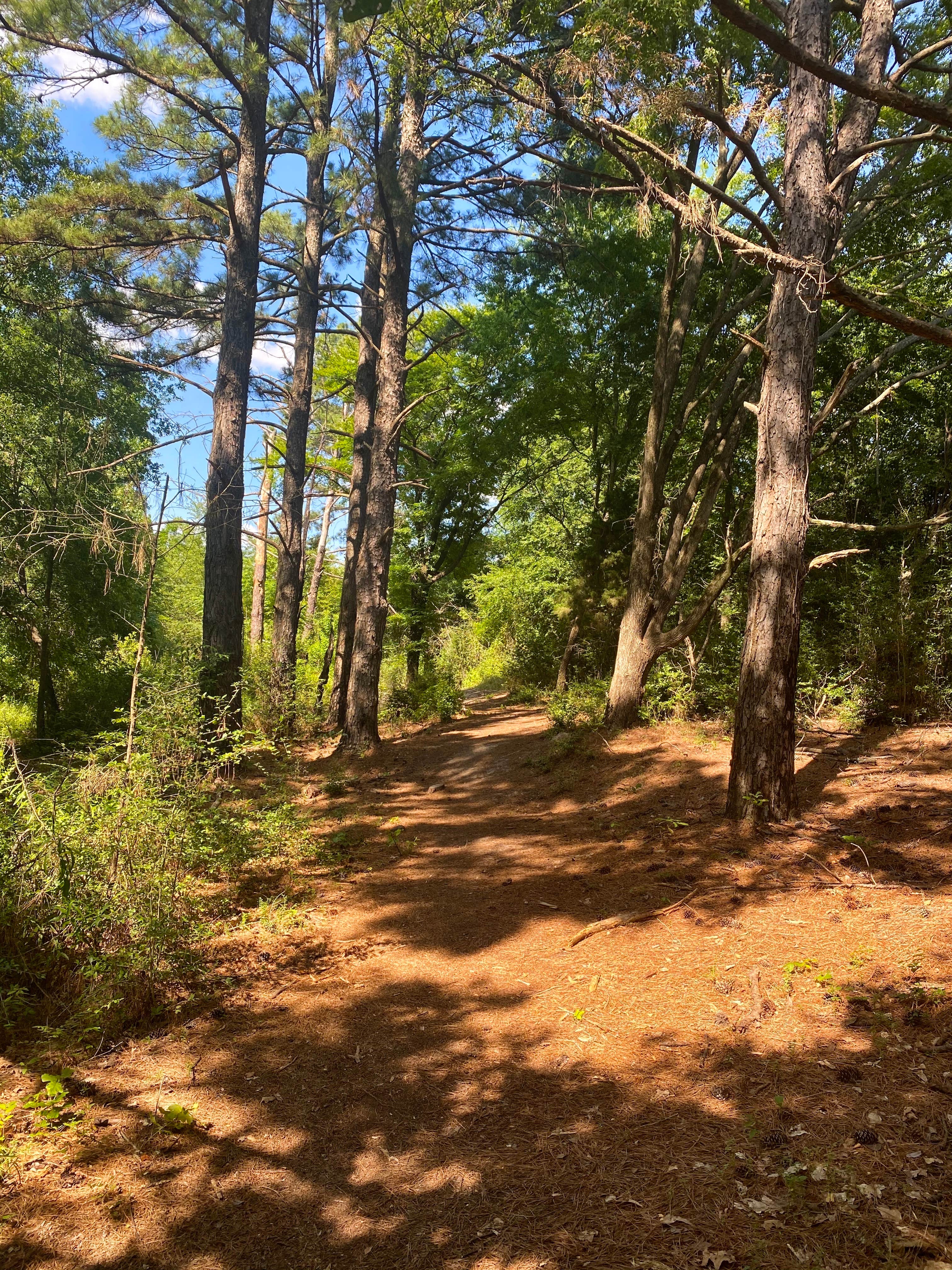 Camper-submitted photo at Martin Creek Lake State Park Campground near White Oak, TX
