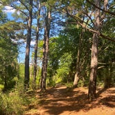 Review photo of Martin Creek Lake State Park Campground by Mic R., June 13, 2020
