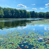 Review photo of Martin Creek Lake State Park Campground by Mic R., June 13, 2020