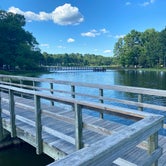 Review photo of Martin Creek Lake State Park by Mic R., June 13, 2020