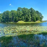 Review photo of Martin Creek Lake State Park Campground by Mic R., June 13, 2020