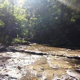 Review photo of East Fork State Park Campground by Noah R., July 1, 2016