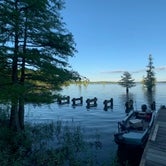 Review photo of Lake D'Arbonne State Park — New Lake D'arbonne State Park by Gil C., June 14, 2020