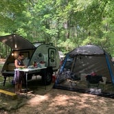 Review photo of Lake D'Arbonne State Park — New Lake D'arbonne State Park by Gil C., June 14, 2020