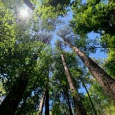 Review photo of Lake D'Arbonne State Park — New Lake D'arbonne State Park by Gil C., June 14, 2020