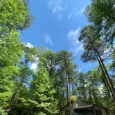 Review photo of Lake D'Arbonne State Park — New Lake D'arbonne State Park by Gil C., June 14, 2020