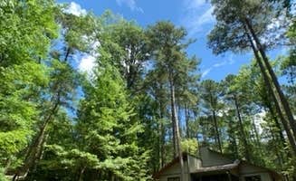 Gil C.'s photo of glamping accommodations at Lake D'Arbonne State Park — New Lake D'arbonne State Park near Minden, LA