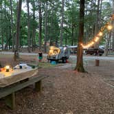 Review photo of Lake Catherine State Park Campground by Gil C., June 14, 2020