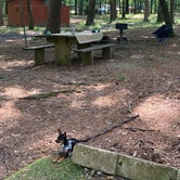 Review photo of Lake Catherine State Park Campground by Gil C., June 14, 2020