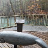 Review photo of Manatee Springs State Park Campground by Paul G., June 14, 2020