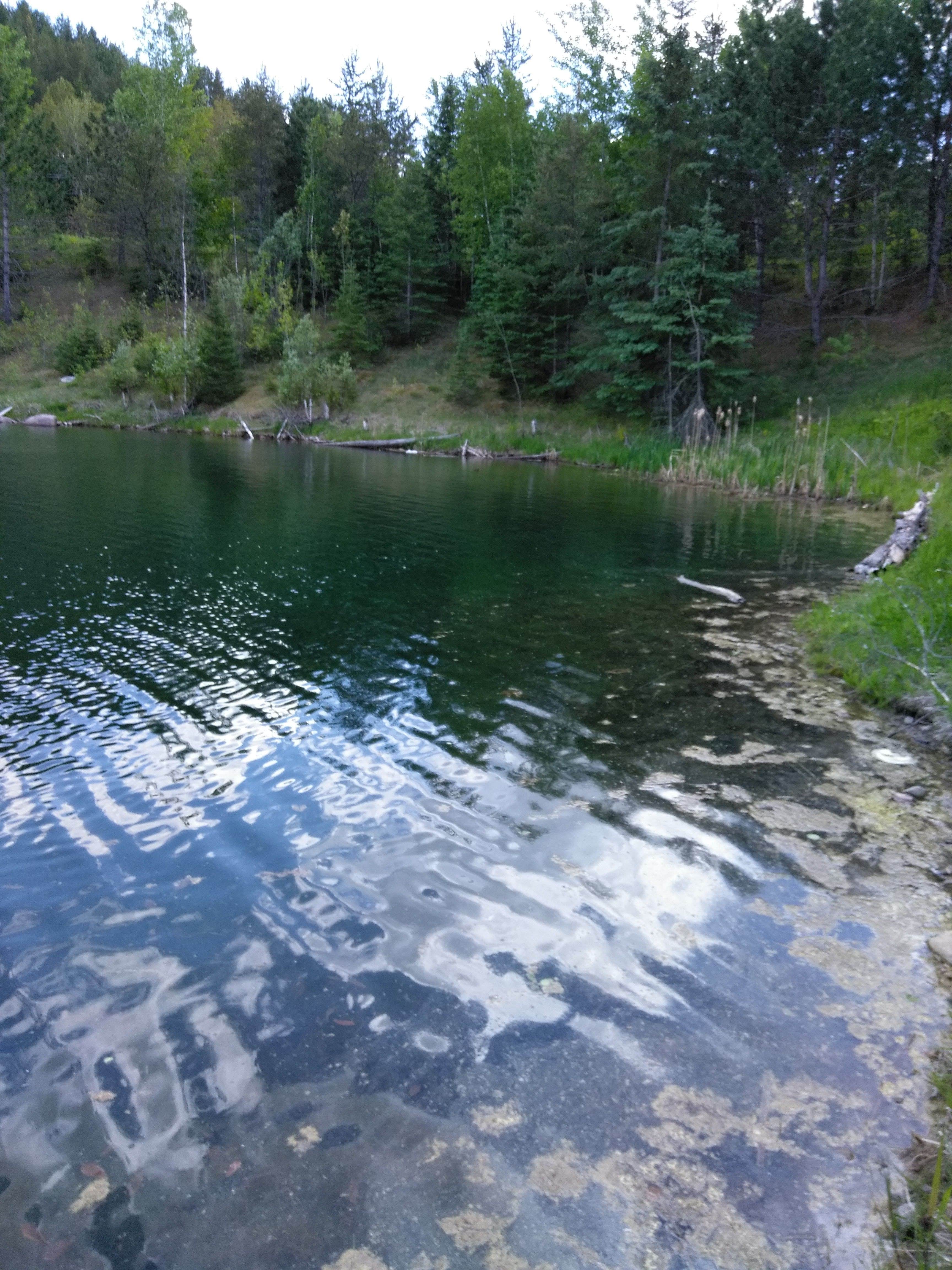 Camper submitted image from Stubler Beach - 3