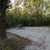 Review photo of Lithia Springs by Michael M., October 16, 2017