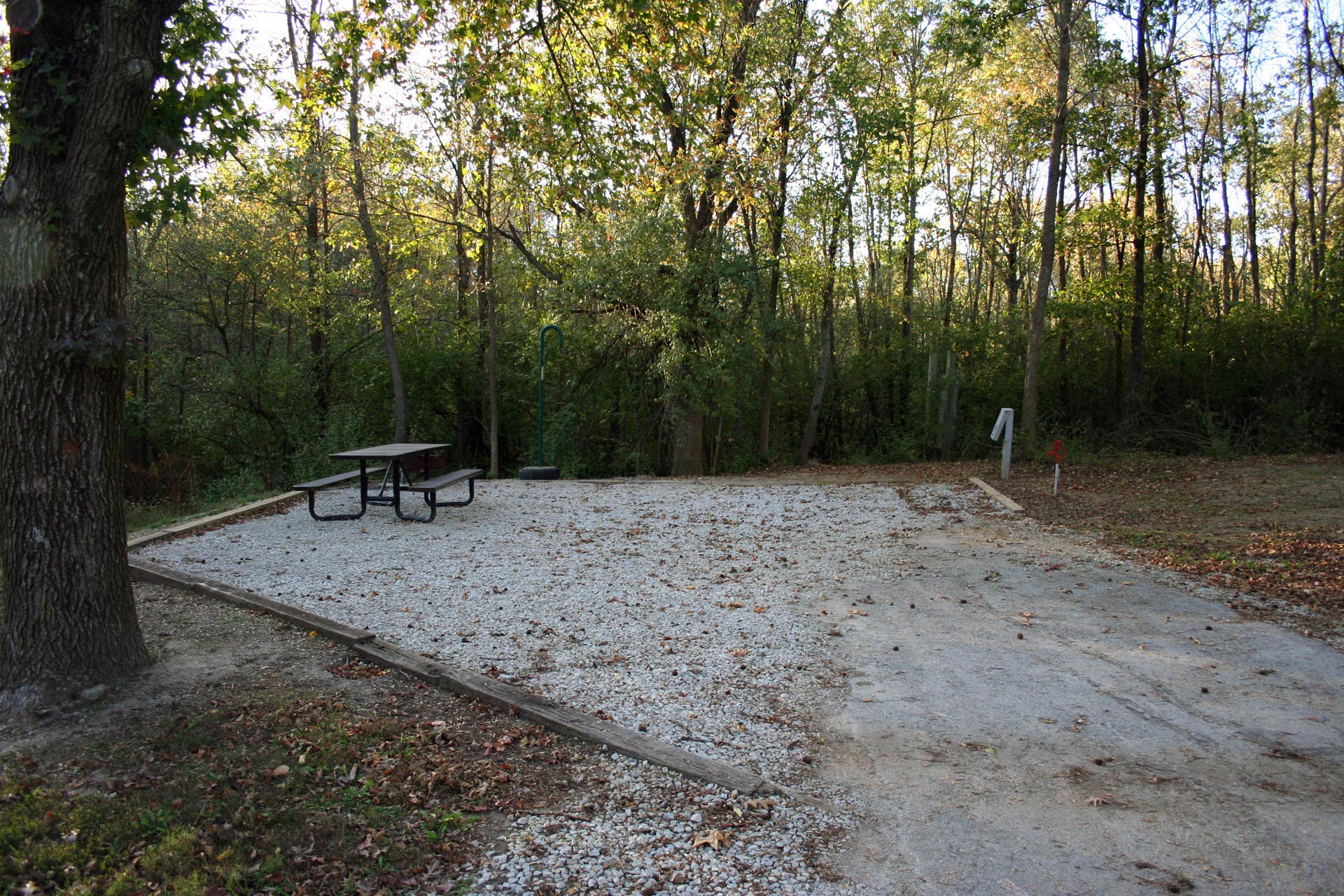 Camper submitted image from Lithia Springs - 3