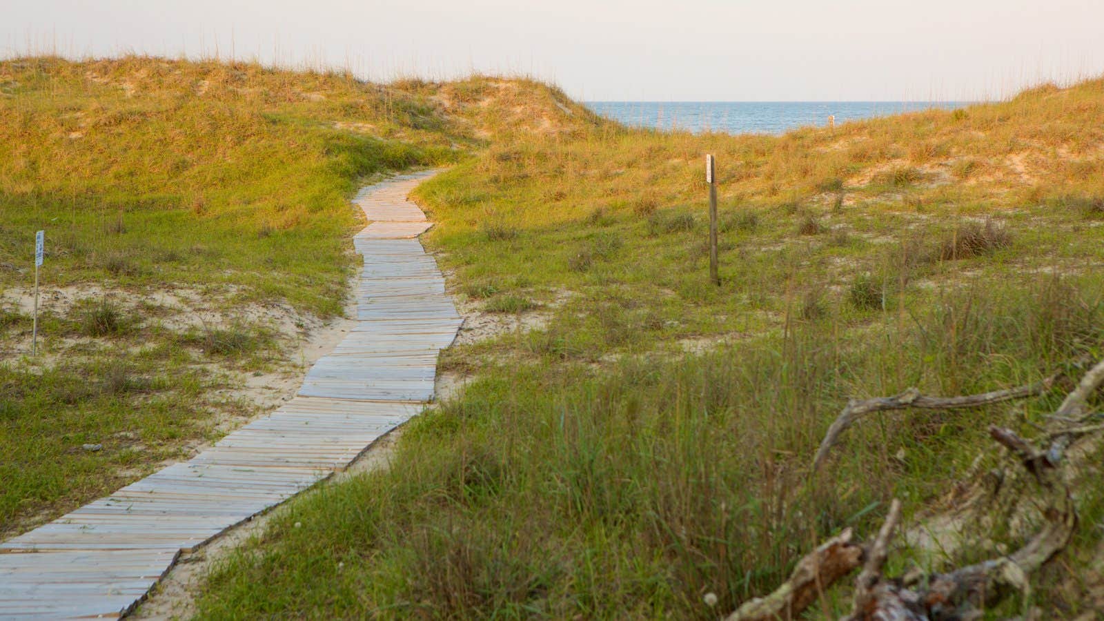 Camper submitted image from False Cape State Park Campground - 2