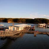 Review photo of Lithia Springs by Michael M., October 16, 2017