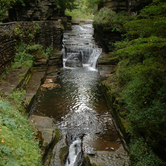 Review photo of Robert H. Treman State Park Campground by Paully B., October 20, 2017