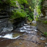 Review photo of Robert H. Treman State Park Campground by Paully B., October 20, 2017