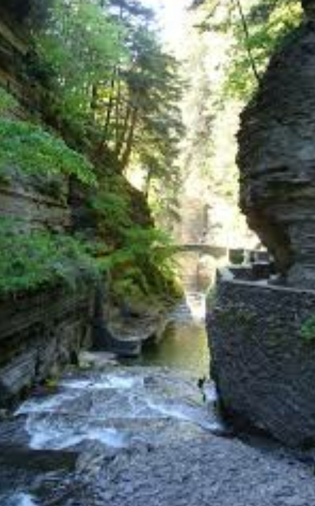 Robert H. Treman State Park Campground