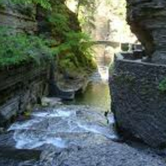 Review photo of Robert H. Treman State Park Campground by Paully B., October 20, 2017
