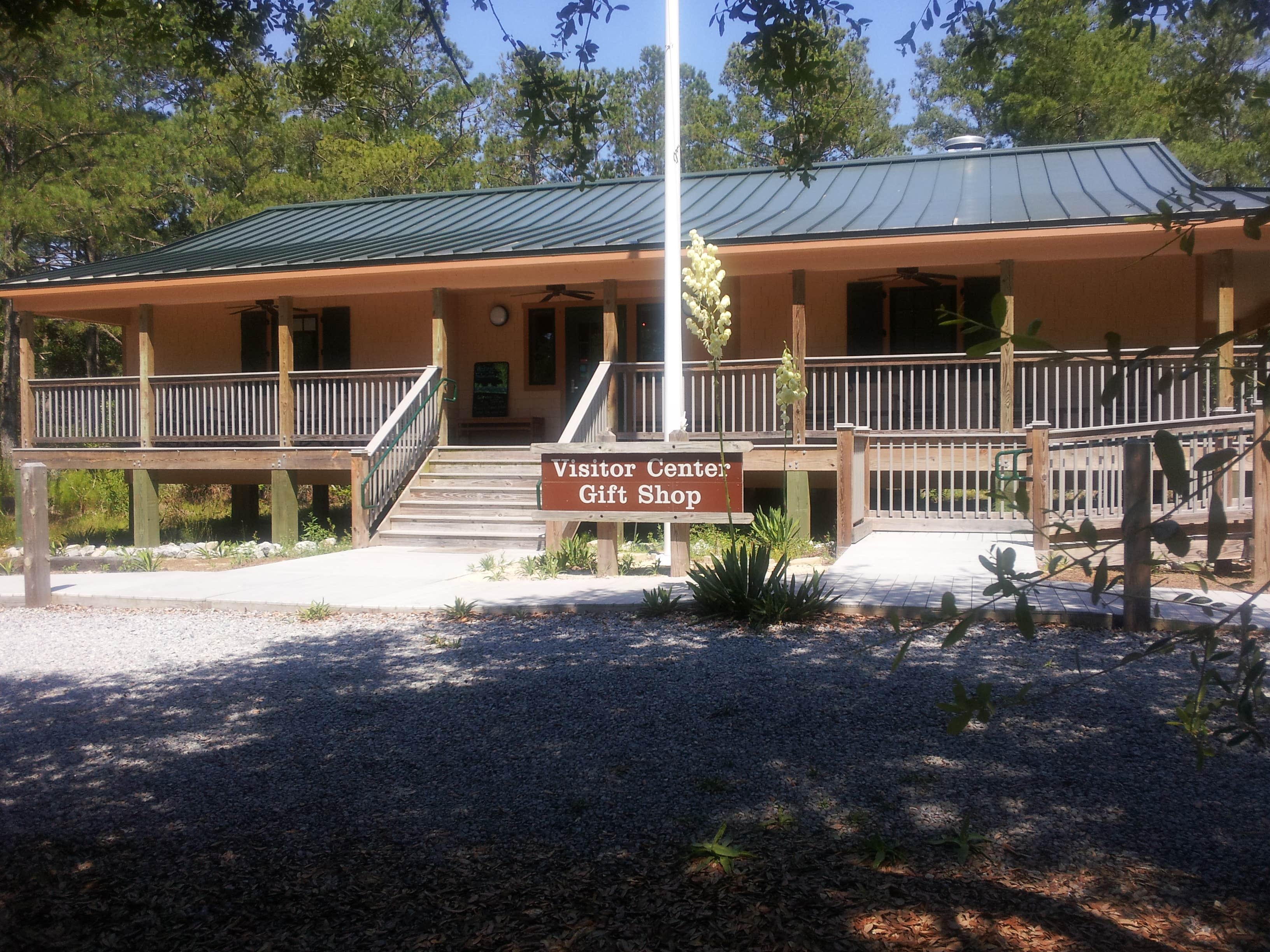 Camper submitted image from False Cape State Park Campground - 3