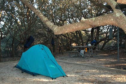 Camper submitted image from False Cape State Park Campground - 4