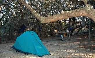 Chris B.'s photo at False Cape State Park Campground near Powells Point, NC