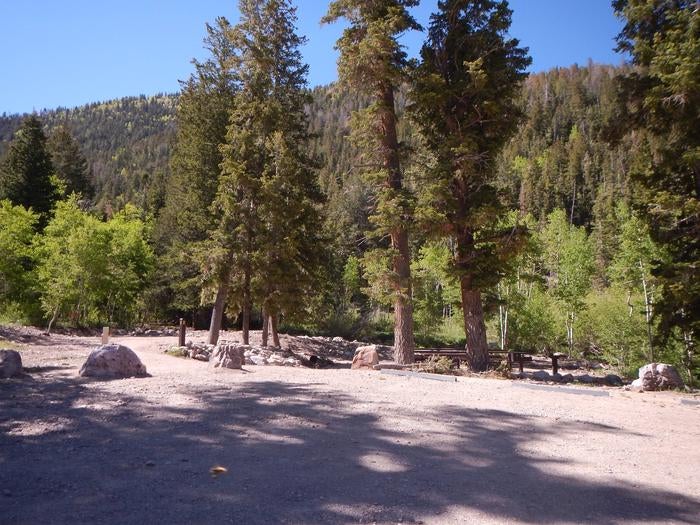 Camper submitted image from Timber Creek Campground - 3