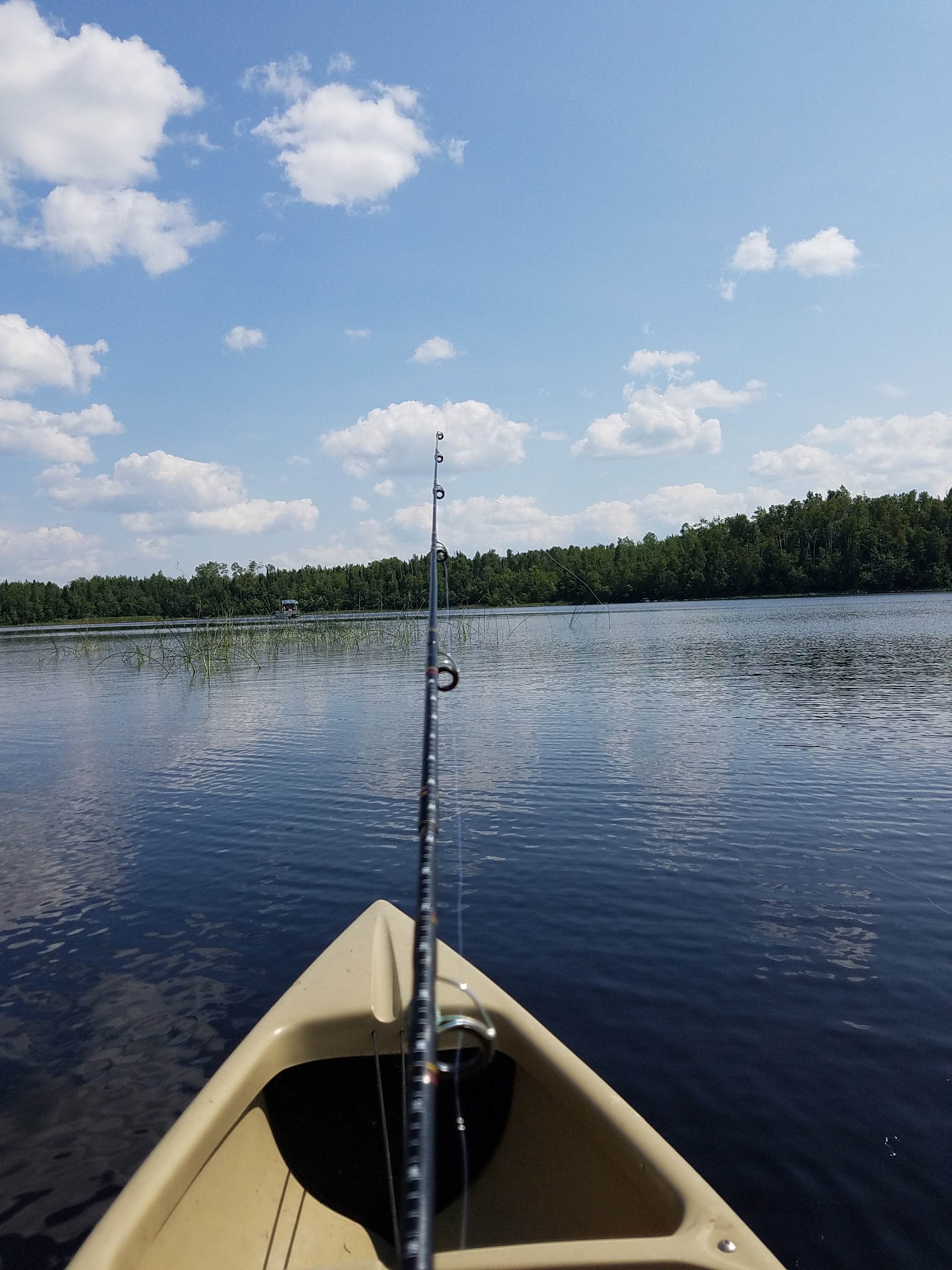 Camper submitted image from Trout Lake Campground - 5