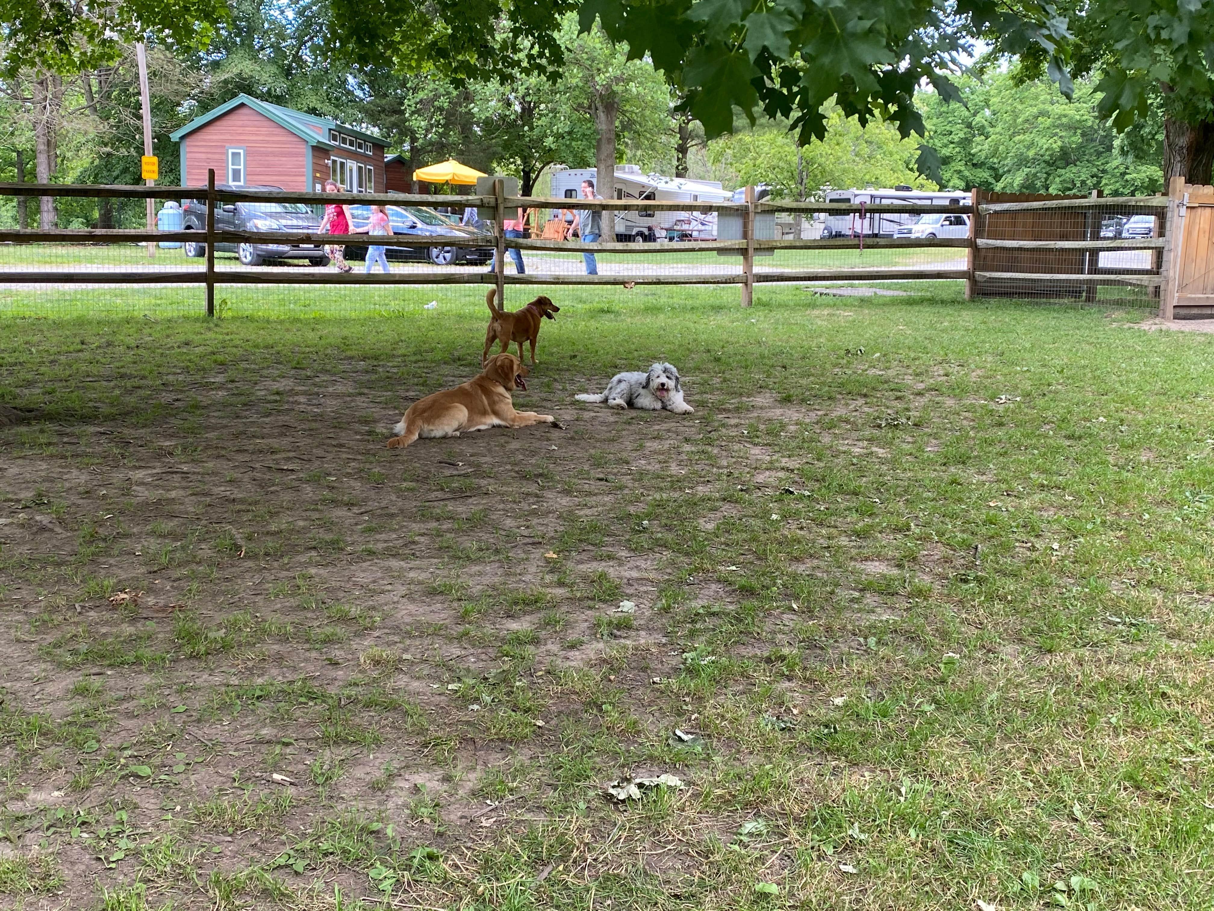 Camper-submitted photo at Lebanon-Cincinnati NE KOA near Blue Ash, OH
