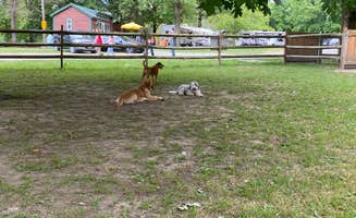 Brian B.'s photo of camping with pets at Lebanon-Cincinnati NE KOA near Hamilton, OH