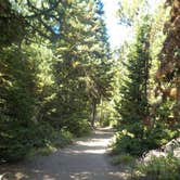 Review photo of Colter Bay Tent Village at Colter Bay Village — Grand Teton National Park by Sarah C., June 14, 2020