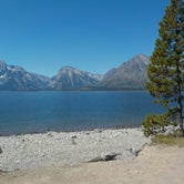 Review photo of Colter Bay Village Campground — Grand Teton National Park by Sarah C., June 14, 2020