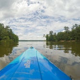 Review photo of Jordan Lake State Recreation Area Poplar Point by Zach W., October 20, 2017