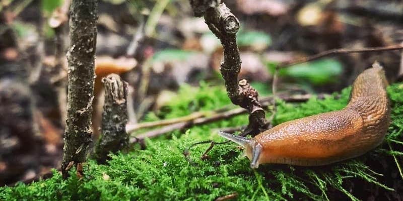 Camper submitted image from Green Lake Rustic Campground — Waterloo Recreation Area